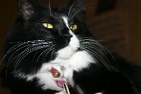 IMG_8559