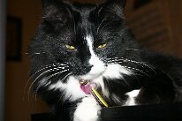 IMG_8563