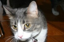 IMG_0428