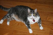 IMG_0430