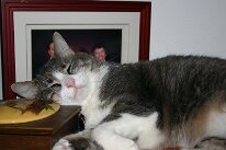 IMG_1902
