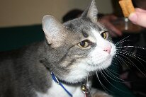 IMG_8540