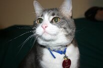 IMG_8541