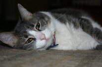 IMG_8568
