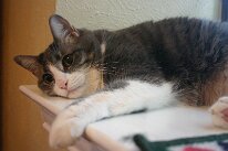 IMG_9655