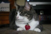 IMG_9733
