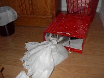 RueInABag
