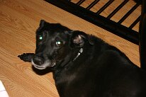 IMG_0432