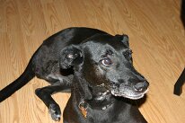 IMG_0433