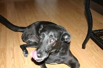 IMG_0434