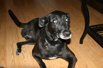 IMG_0435