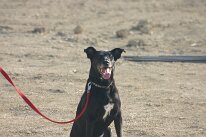 IMG_1269