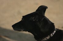 IMG_1275