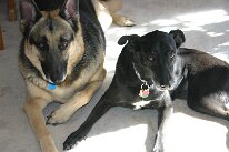 IMG_2524