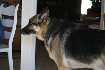 IMG_2530