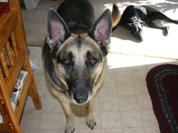 Tiberius