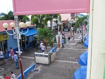 IMG_0778