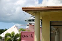 IMG_8567