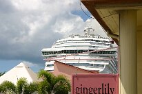 IMG_8568