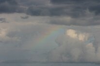 IMG_8524