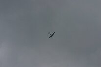 IMG_8528