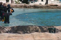 IMG_8674