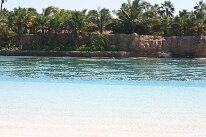 IMG_8675