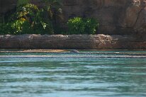 IMG_8678