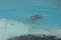IMG_8683