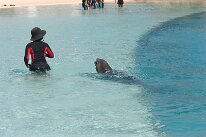 IMG_8684