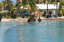 IMG_8688