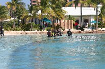 IMG_8690