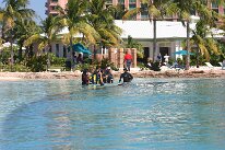 IMG_8691