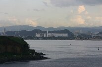 IMG_8529