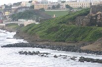 IMG_8531