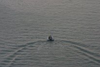 IMG_8555