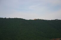 IMG_8561