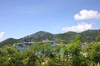 IMG_8601