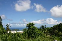 IMG_8605