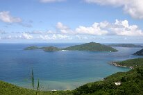 IMG_8608