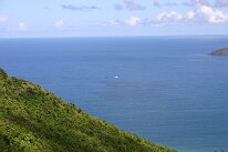 IMG_8614