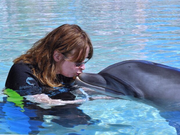 Dolphin Cay, Bahamas
