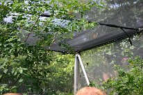 IMG_9355