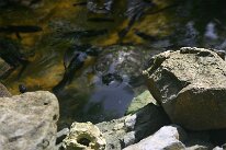 IMG_9358