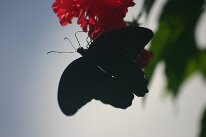 IMG_9360