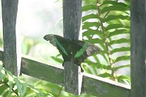 IMG_9362