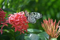 IMG_9363
