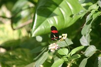 IMG_9364