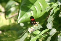 IMG_9365