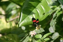 IMG_9367